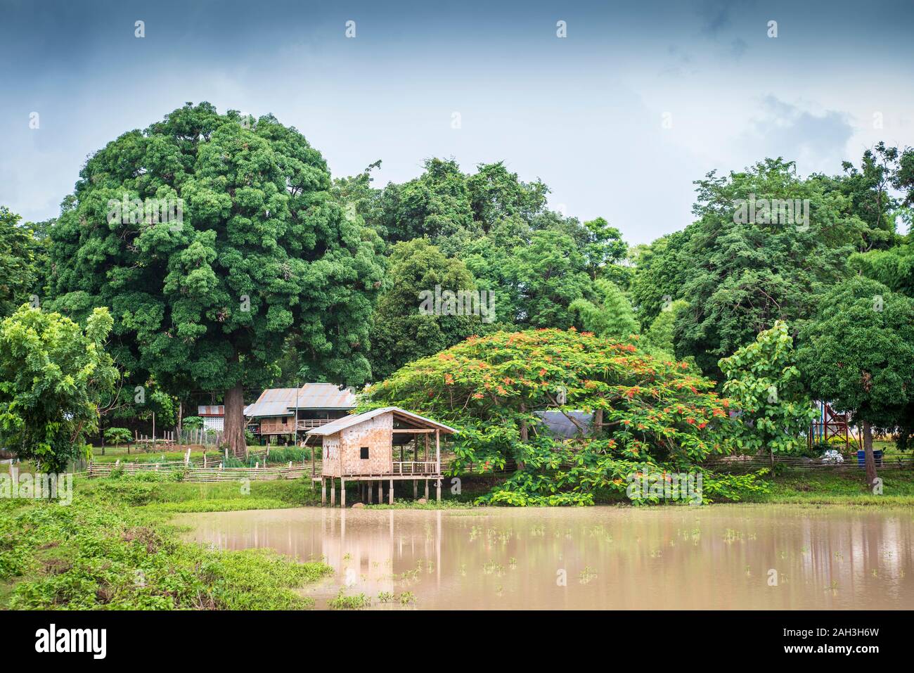 Laongam, Laos, Green Earth Centre (GEC) Stock Photo