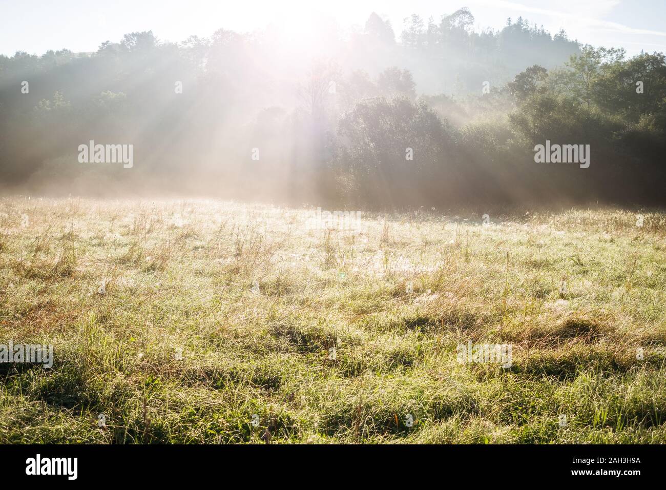 Beautiful sun rays flare through hi-res stock photography and images ...