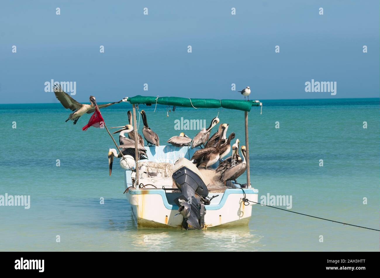 Shimano deepsea Trinidad heavy duty fishing reels rods weights