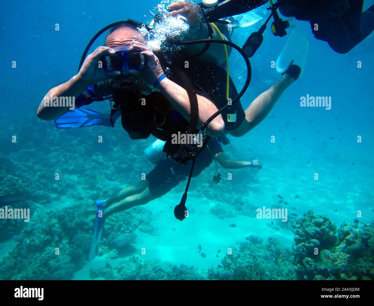 Man scuba diver and beautiful colorful coral reef underwater Stock ...
