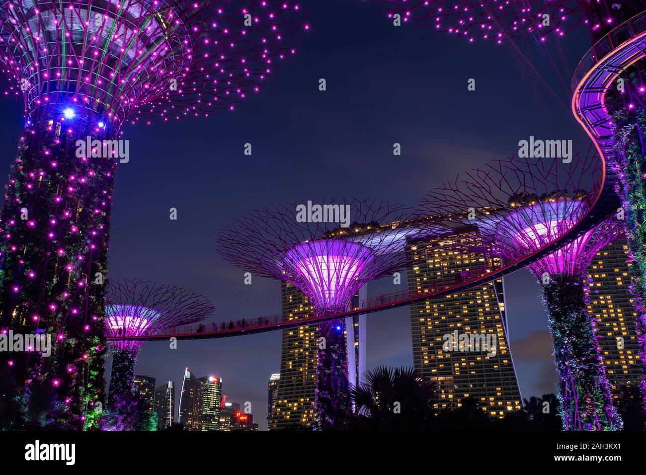 Garden by the Bay in Singapore at night Stock Photo