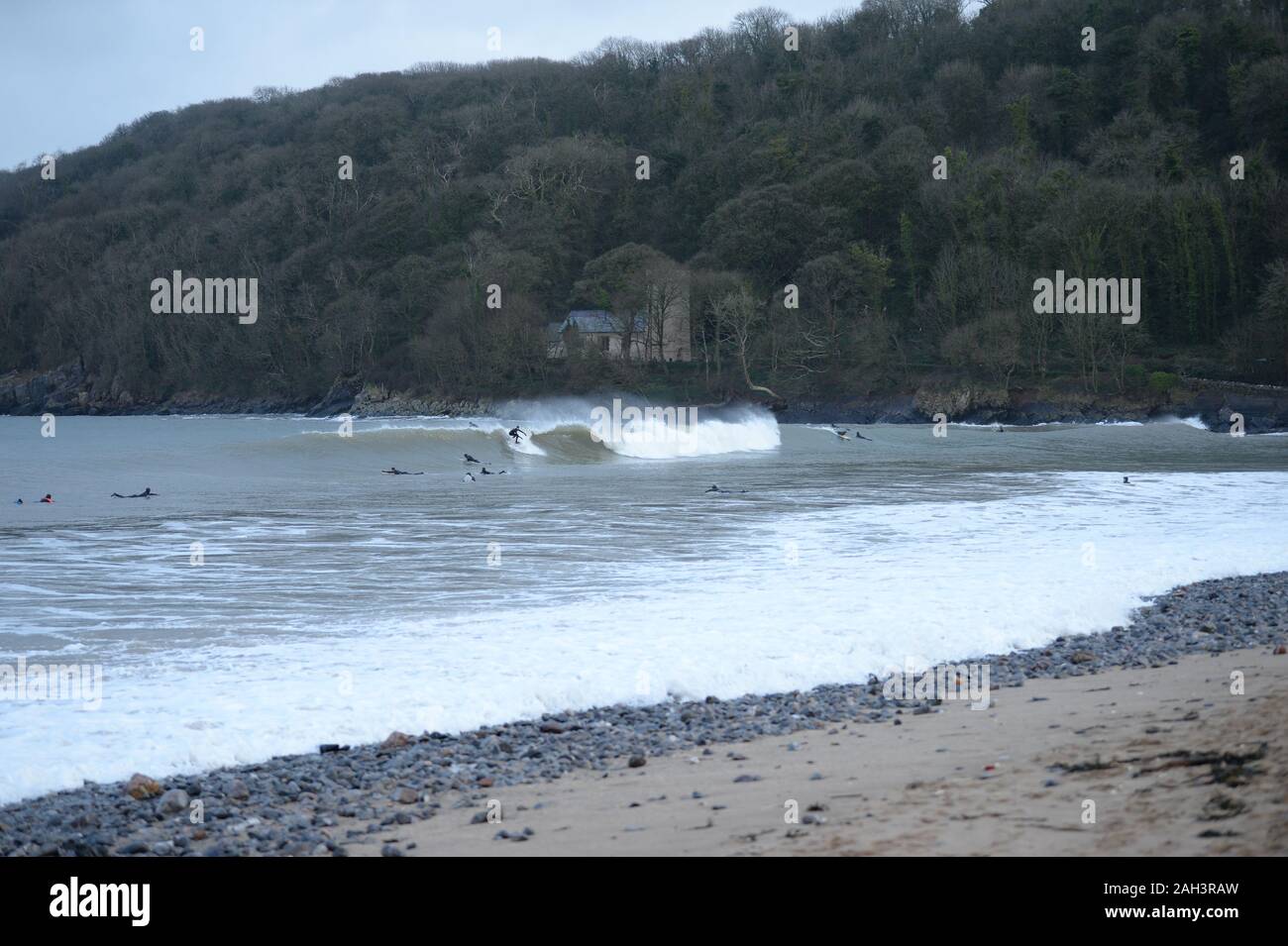 Surfers at Oxwich Bay with St Illtyds church in woodland background, Gower Stock Photo