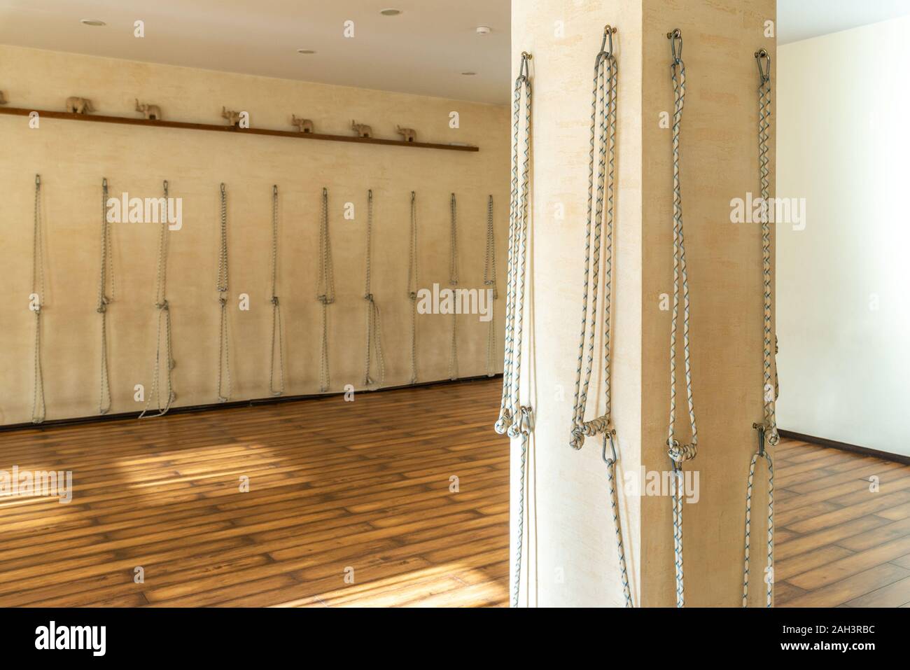Yoga ropes hanging on studio wall, Iyengar yoga props Stock Photo - Alamy