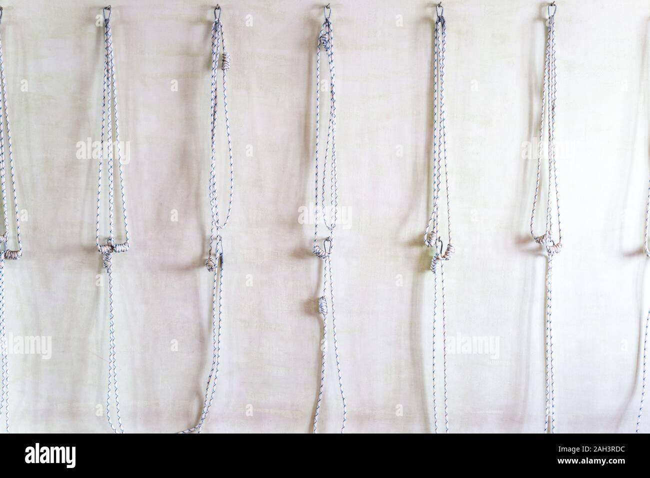 iyengar props for sale