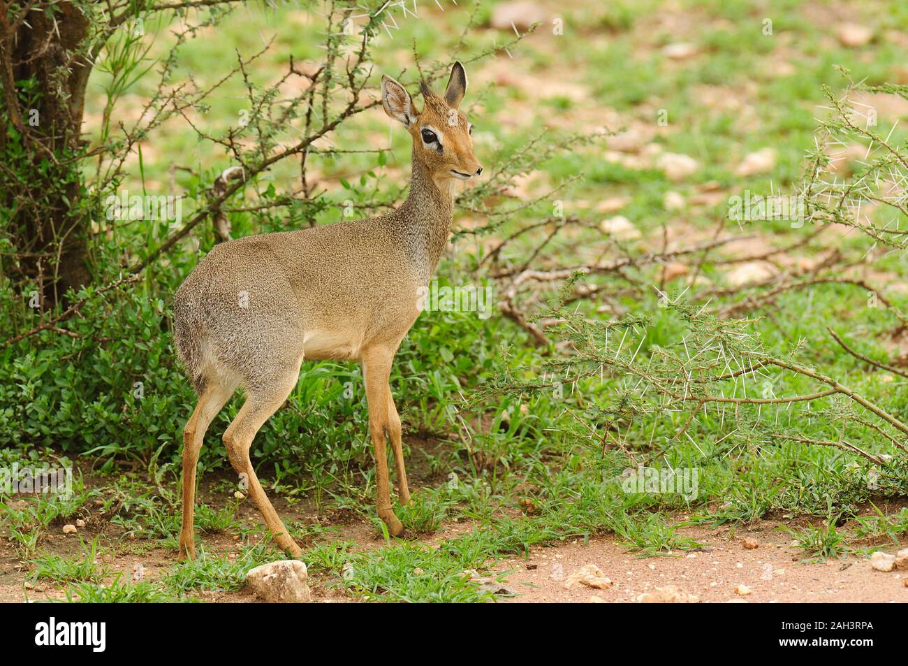 Yashirin konchilik salonining kamerasini onlayn tomosha qiling Seks qiz porno video