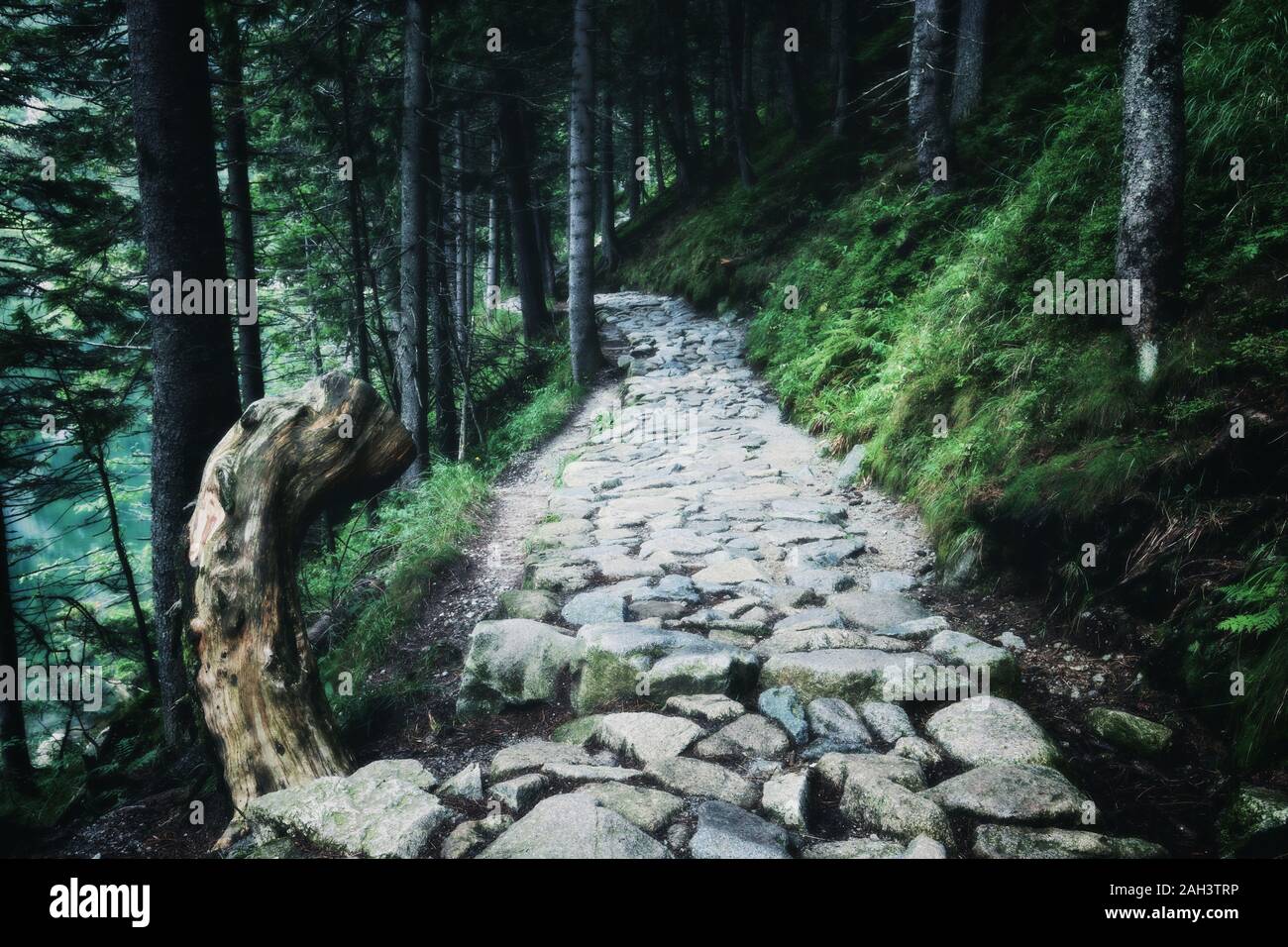 Summer path through mountains hi-res stock photography and images - Alamy