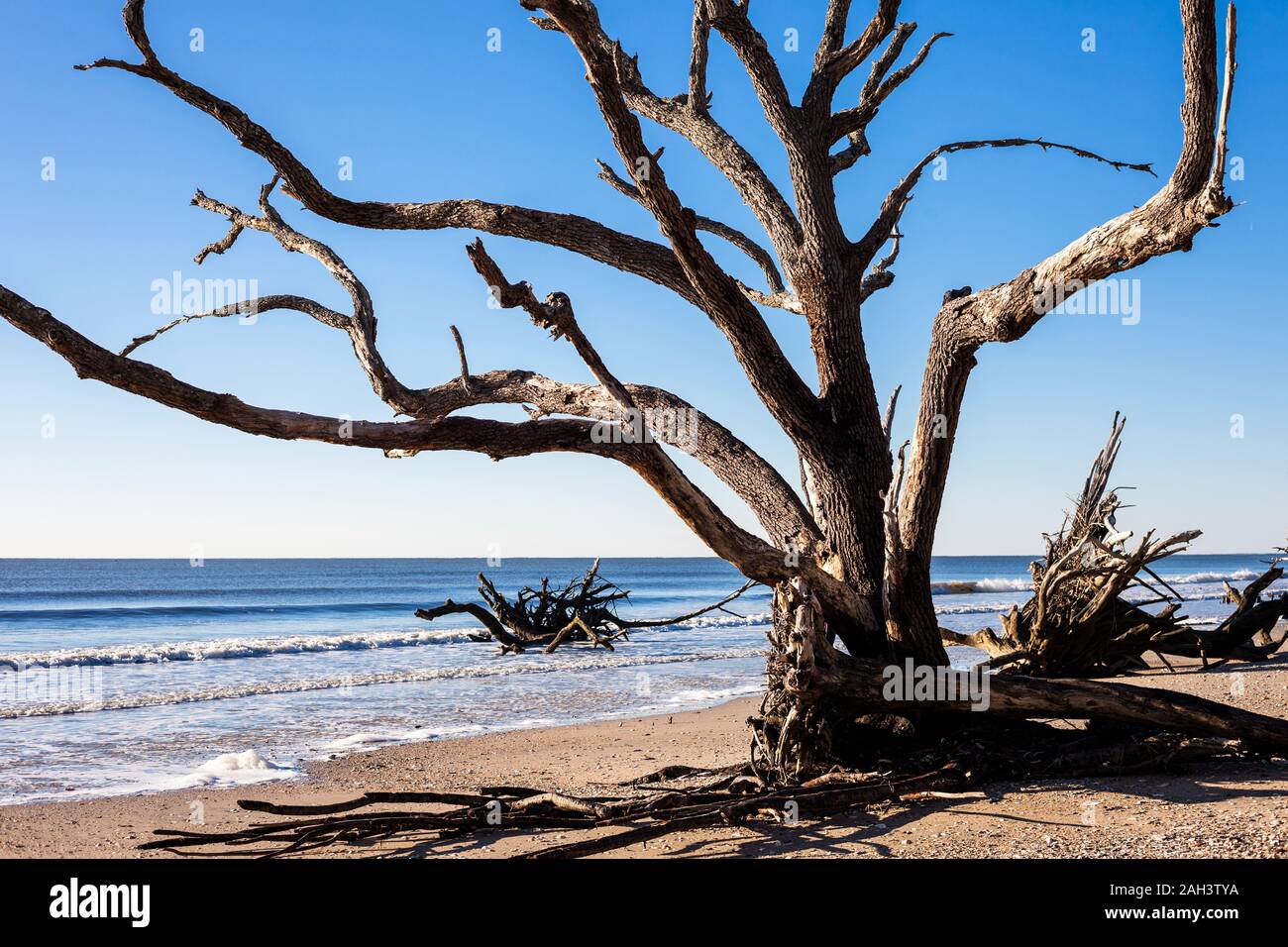 Botany Bay beach, Edisto Island, South Carolina, USA Stock Photo Alamy