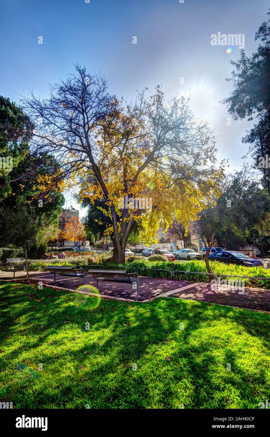 Beautiful Park in Israel west Jerusalem At sunny Day at Fall Tim Stock Photo
