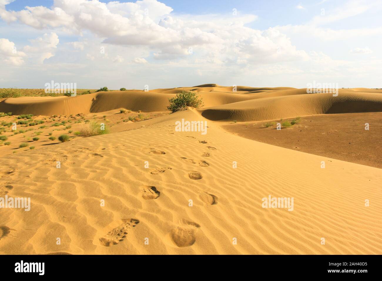 Footsteps on dunes in Rajasthan desert, India. Arid landscape, travel 