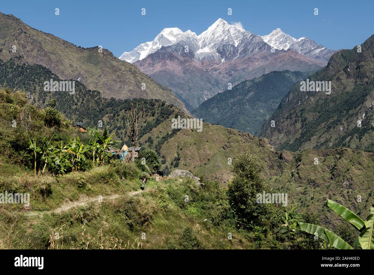 Dobang with Dhaulagiri I, Dhaulagiri Circuit Trek, Himalaya, Nepal Stock Photo