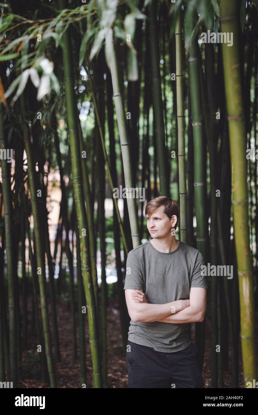 Man standing in bamboo forest Stock Photo
