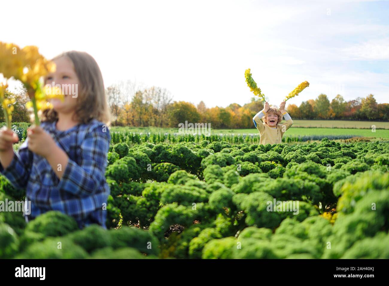 Girl and boy in a kali field, leaves as rabbit ears Stock Photo