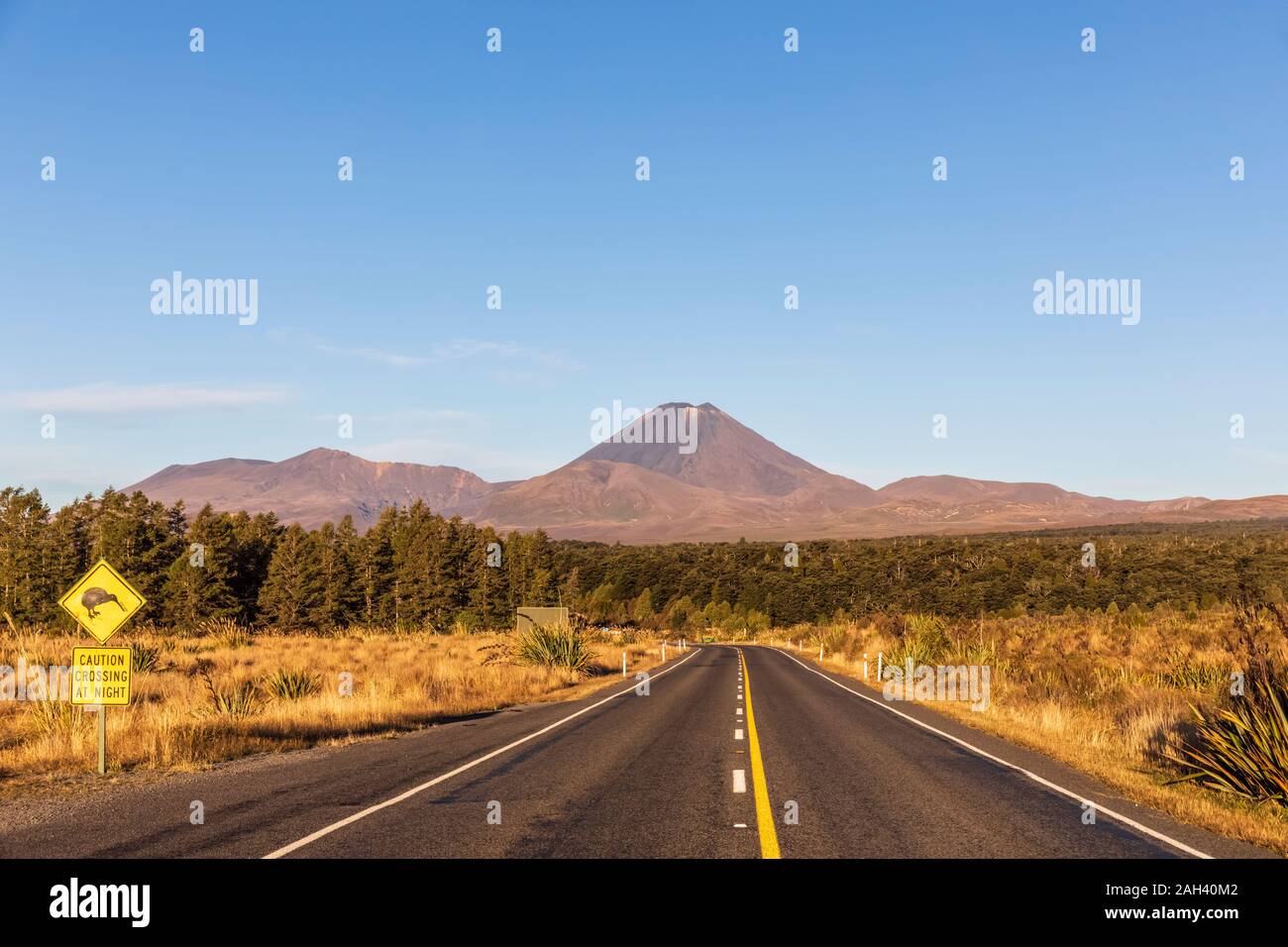 New Zealand, North Island, Kiwi bird crossing road sign by State Highway 48 with Mount Ngauruhoe looming in background Stock Photo