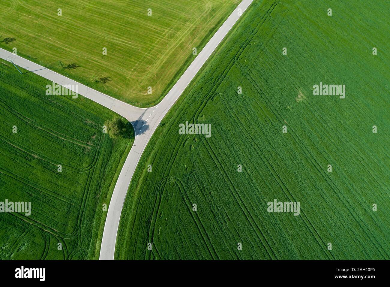Germany, Bavaria, Aerial view of country roads cutting through green countryside fields in spring Stock Photo