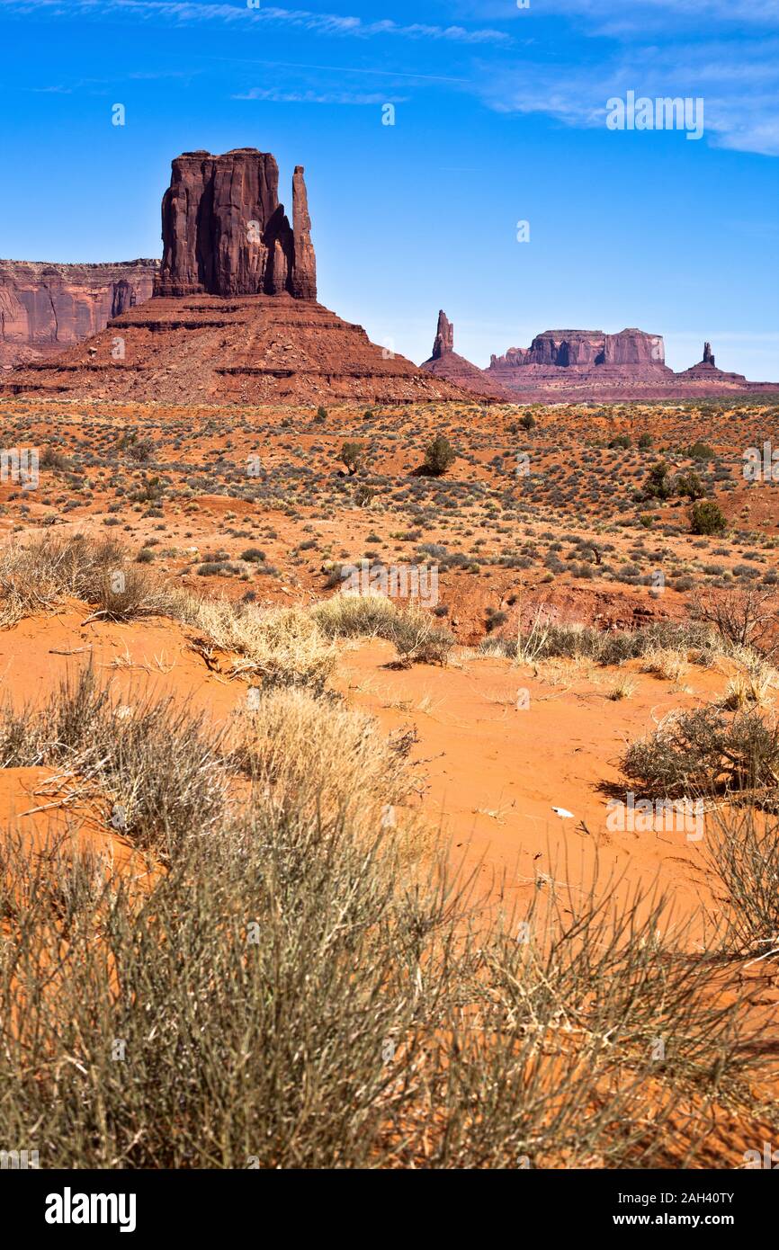 USA, Arizona, Bushes growing in front of Mittens butte in Monument Valley Stock Photo