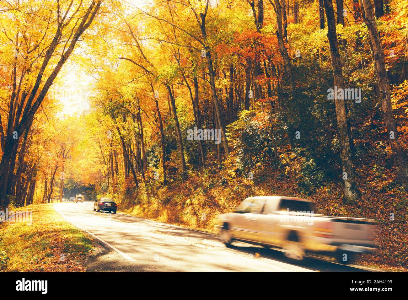 USA, Tennessee, Cars driving along road through autumn forest in Great Smoky Mountains Stock Photo