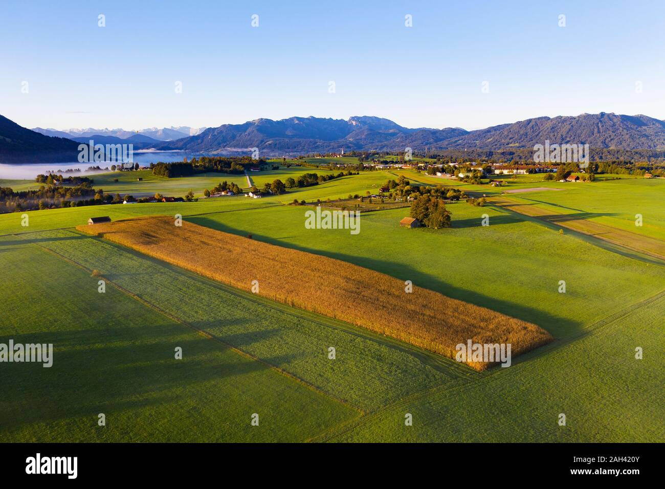 Germany, Upper Bavaria, Greiling, Aerial view of green fields Stock Photo