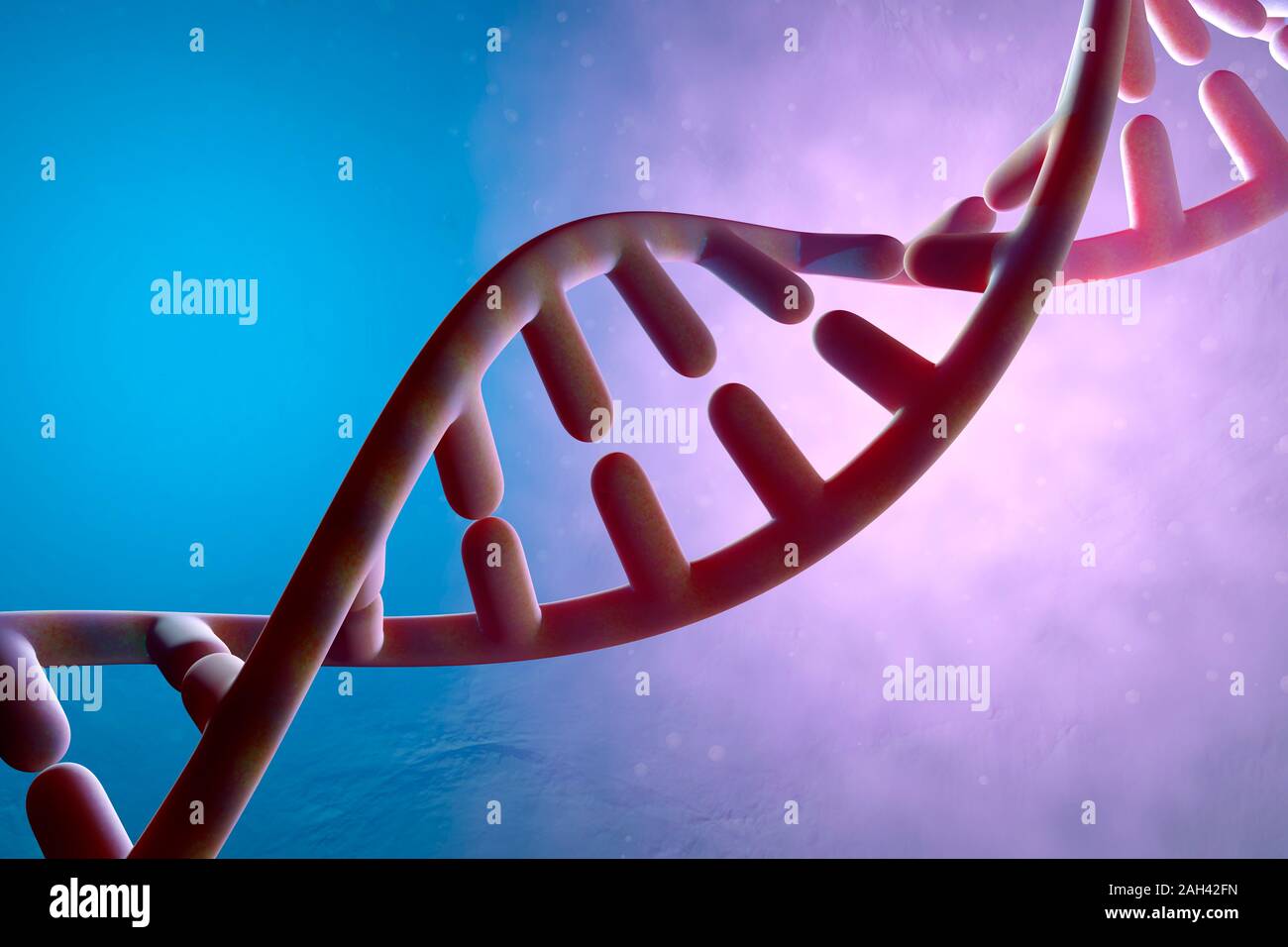 Three dimensional render of DNA double Helix Stock Photo