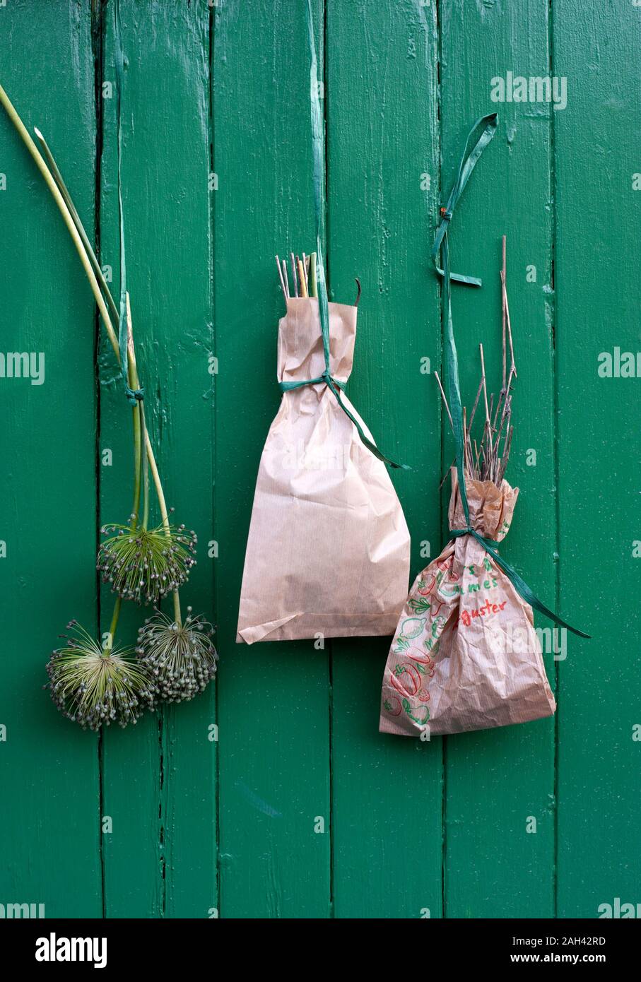 Plants in paper bags hires stock photography and images Alamy