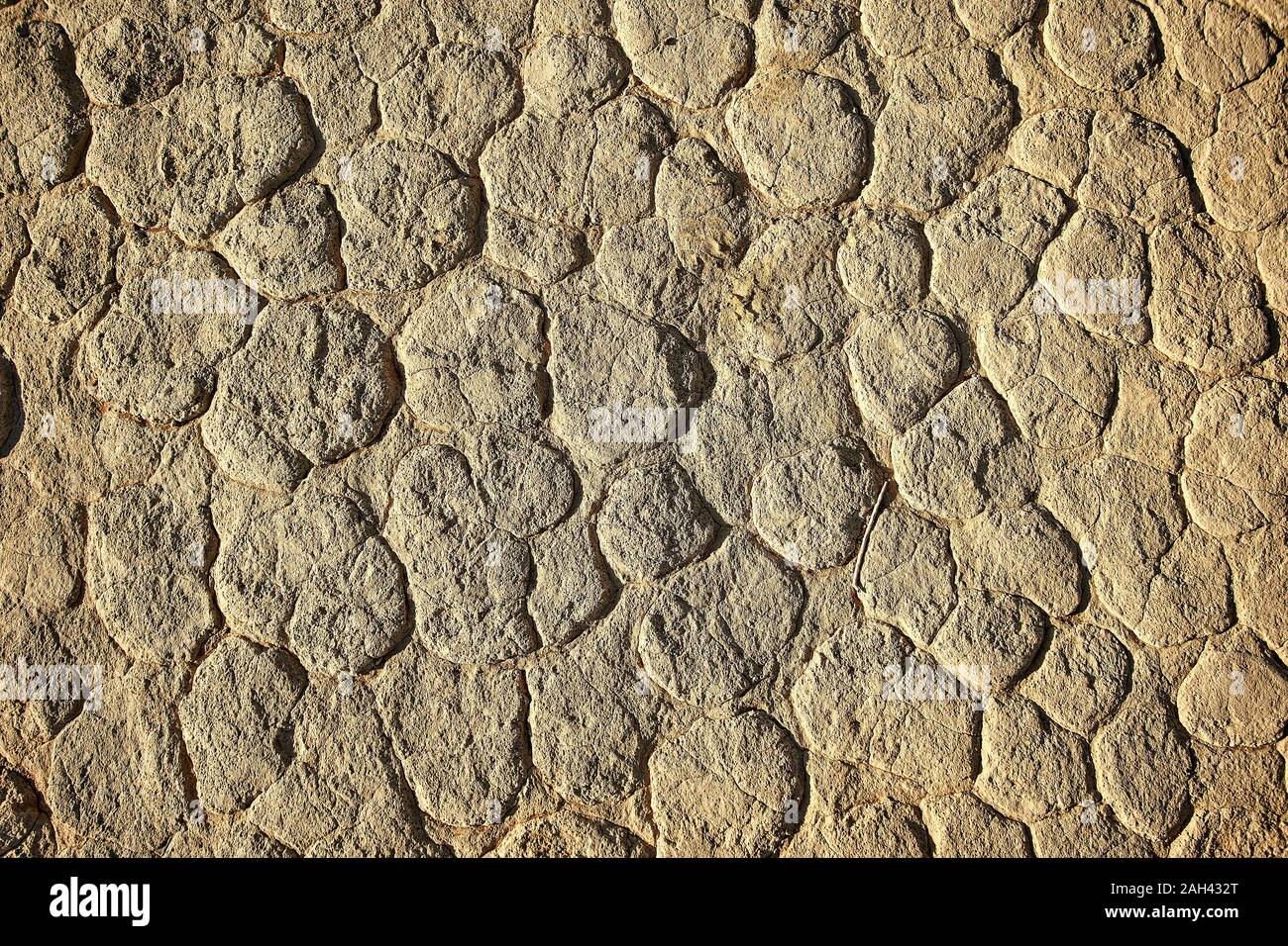Close-up of the salt flat in Deadvlei, Sossusvlei, Namib desert, Namibia Stock Photo