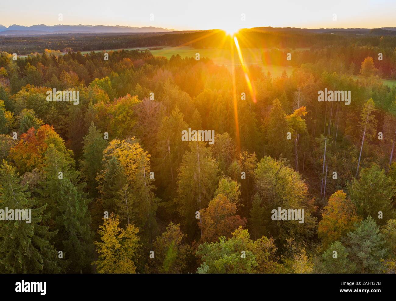 Germany, Bavaria, Upper Bavaria, Toelzer Land, Konigsdorf, Aerial view of Autumn forest at sunset Stock Photo