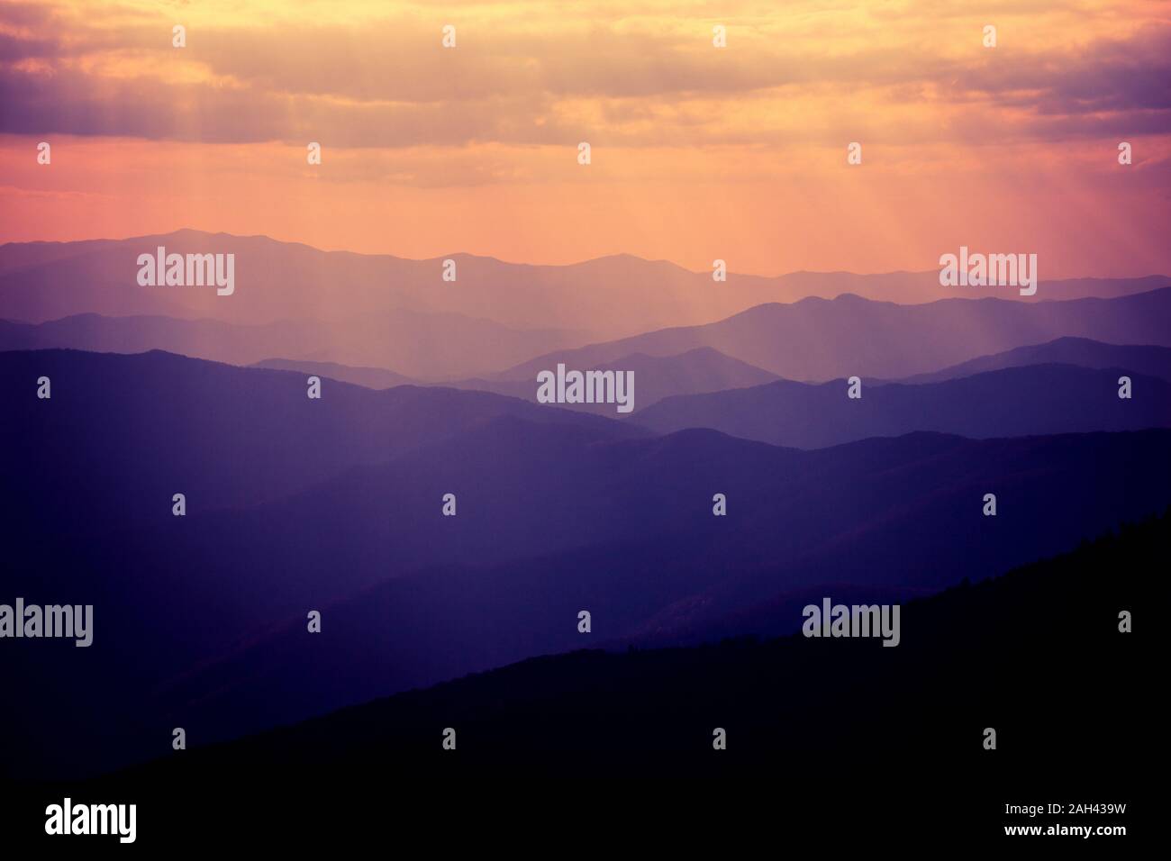 USA, Tennessee, Great Smoky Mountains at misty dawn Stock Photo