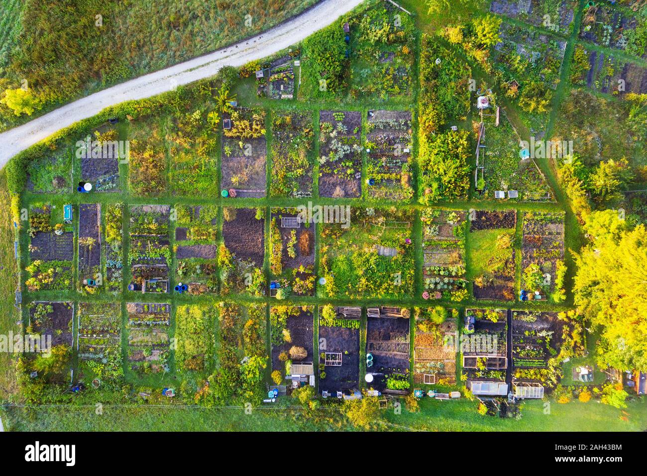Germany, Bavaria, Geretsried, Aerial view of rows of green countryside gardens Stock Photo