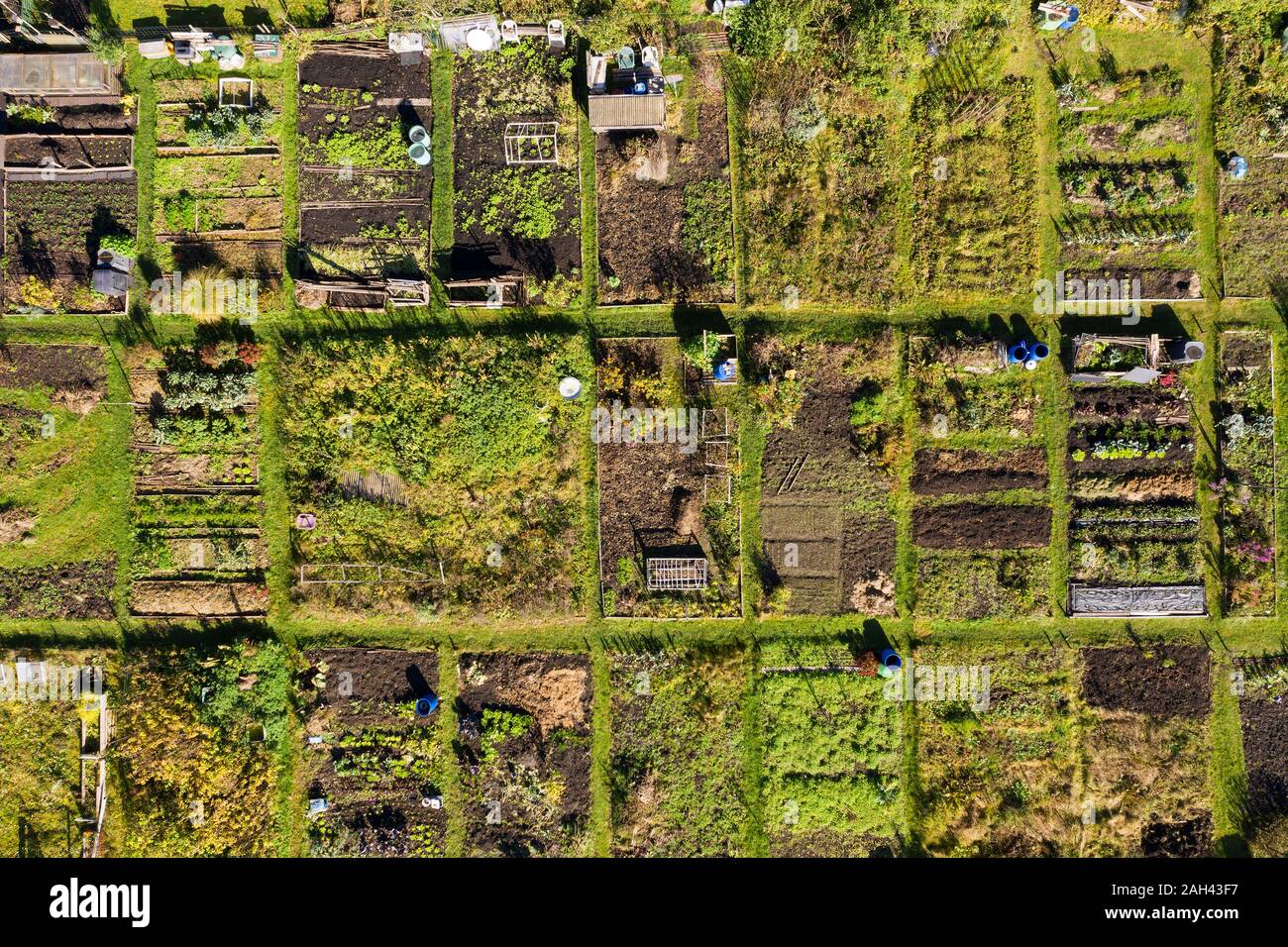Germany, Bavaria, Geretsried, Aerial view of rows of community gardens Stock Photo