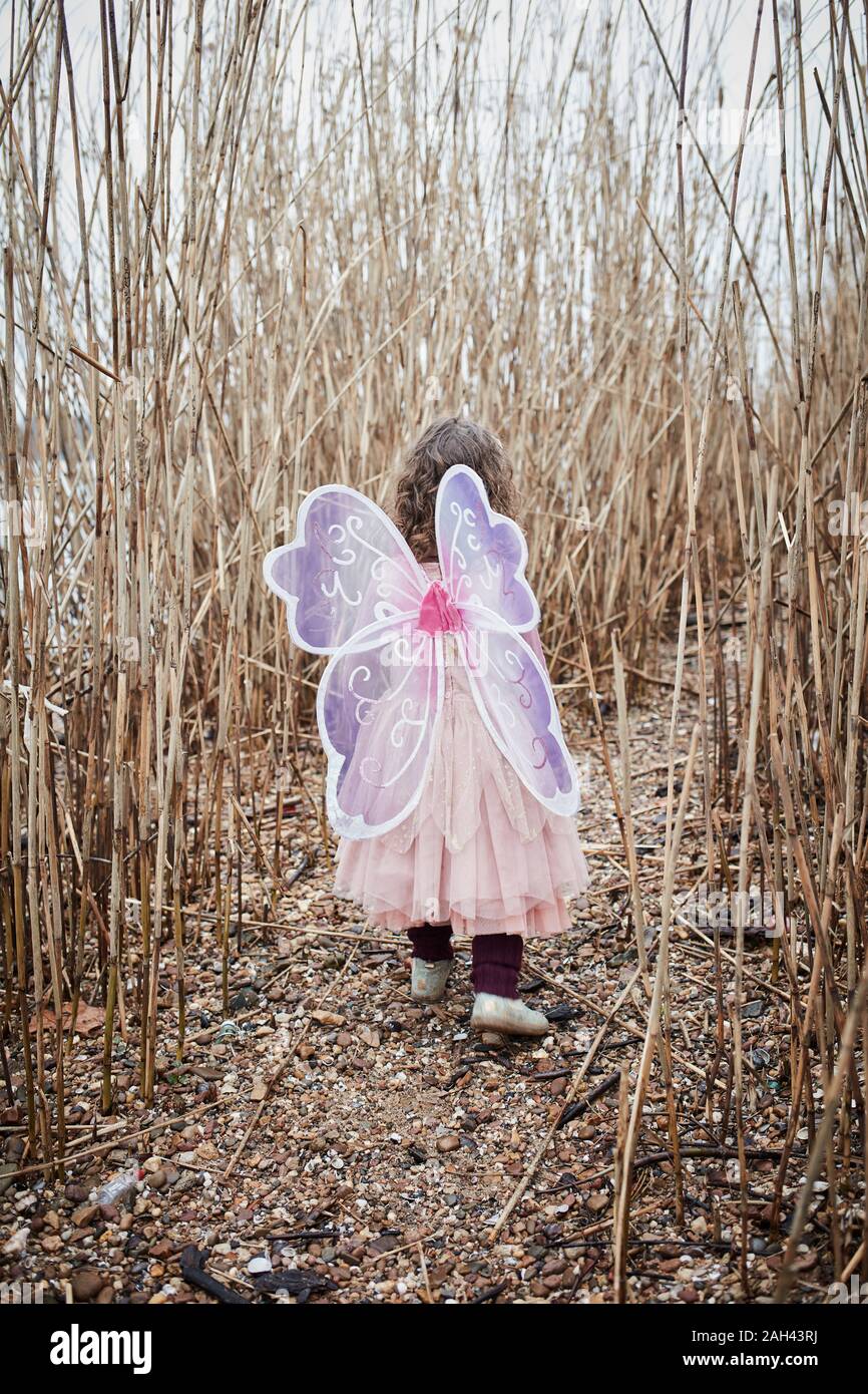 Back view of little girl in nature dressed up as a butterfly Stock Photo