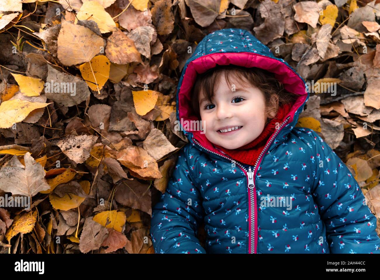 Portrait of happy little girl lying on autumn leaves Stock Photo