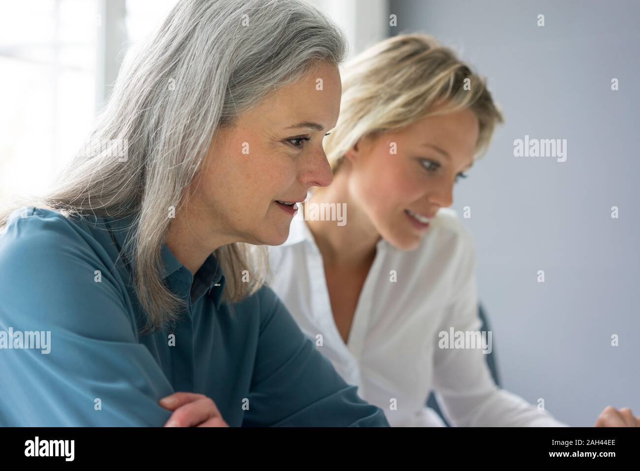 Portrait of two focused businesswomen working together in office Stock Photo