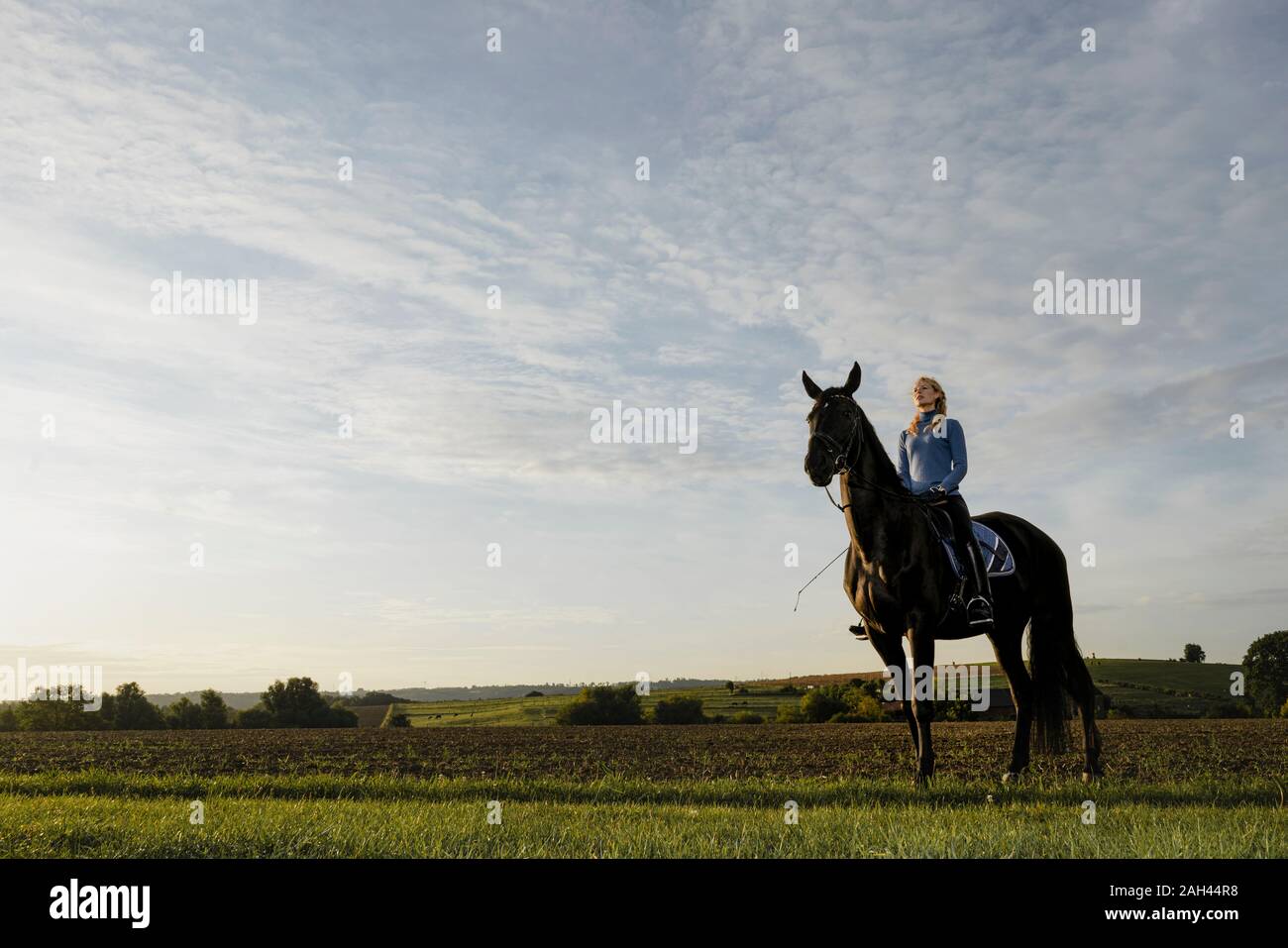 Woman on horse on a field in the countryside Stock Photo