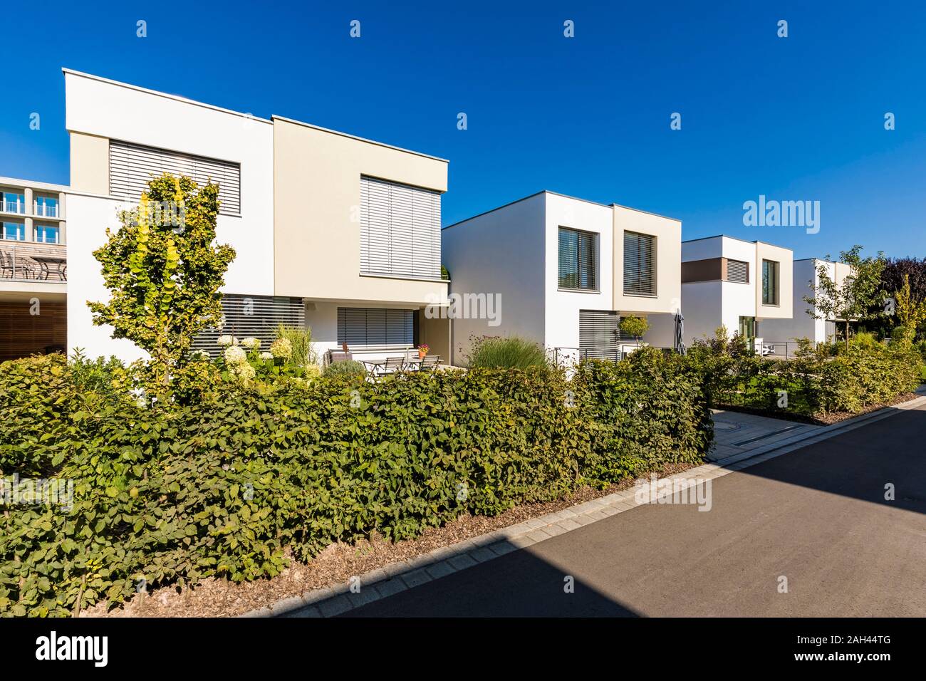 Germany, Bavaria, Neu-Ulm, Front yard hedges of suburb houses Stock Photo