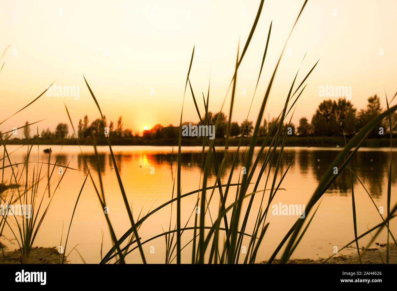 Italy, Emilia Romagna, Po river at sunset Stock Photo
