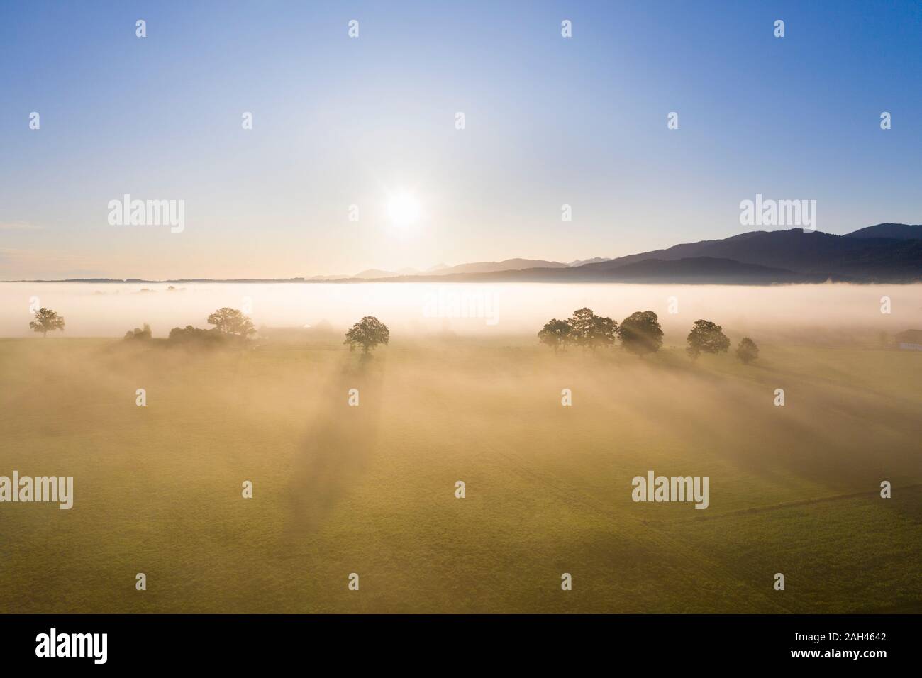 Germany, Upper Bavaria, Greiling, Aerial view of fields in fog at sunrise Stock Photo