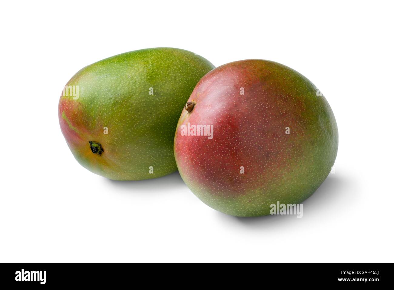 Pair of fresh whole mangoes isolated on white background Stock Photo