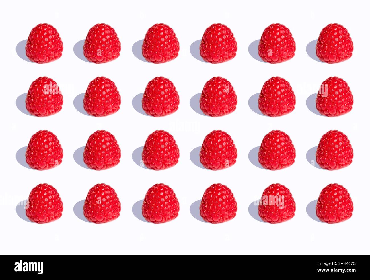 3D Illustration, raspberries in a row on white background Stock Photo