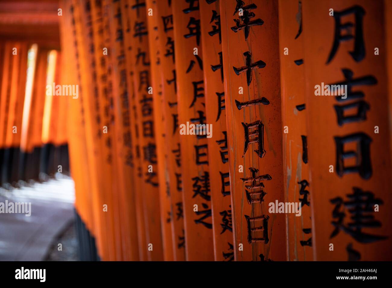 Japan, Kyoto Prefecture, Kyoto City, Kanji on torii gates leading to Fushimi Inari-taisha temple Stock Photo