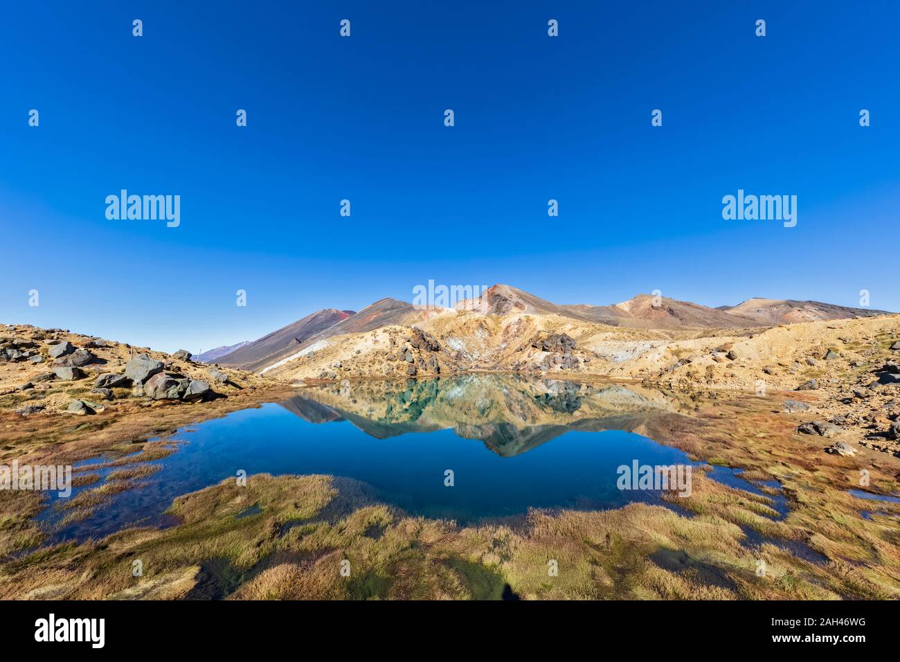 New Zealand, North Island, Clear blue sky over shiny lake in North Island Volcanic Plateau Stock Photo