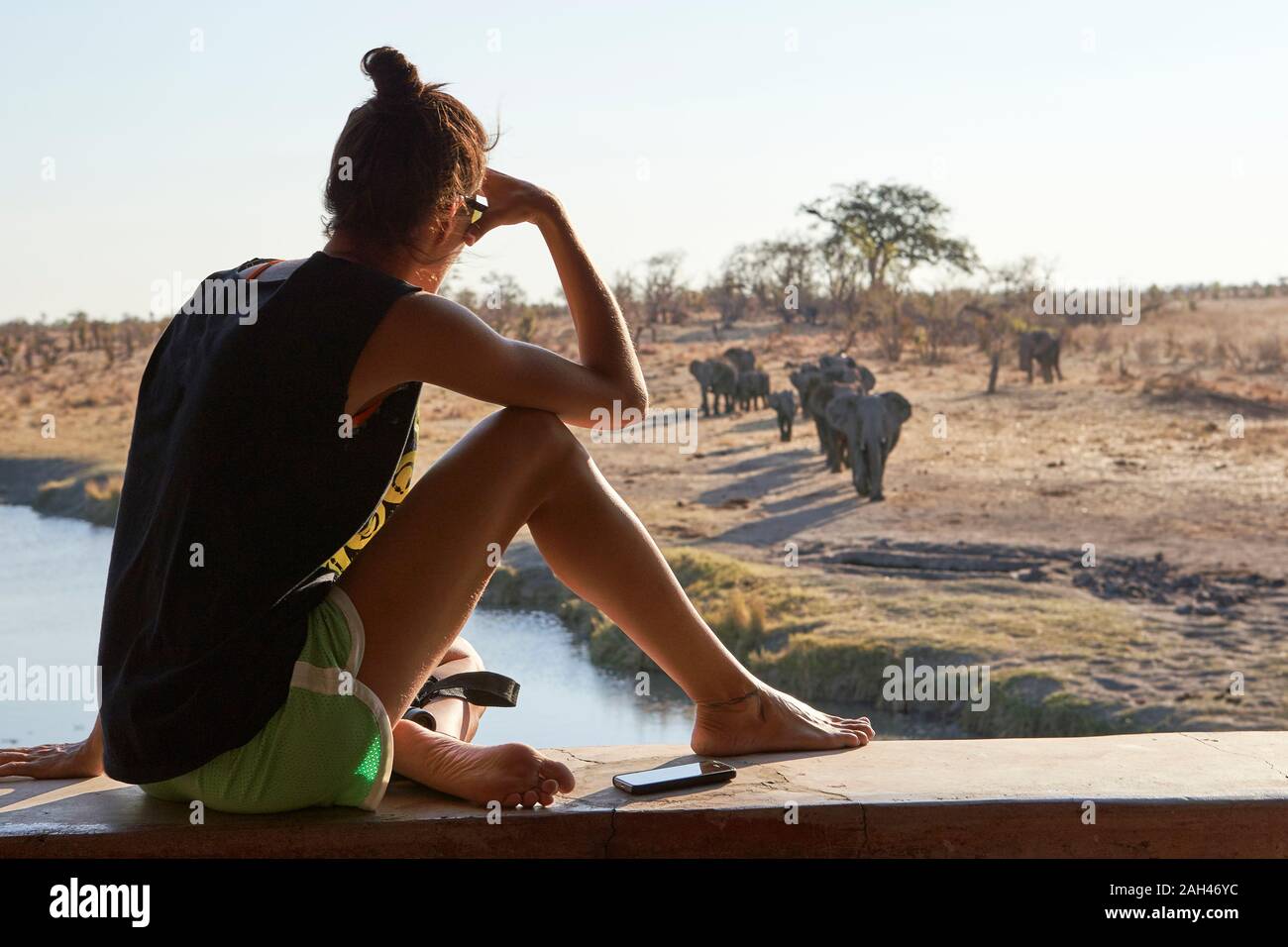 Woman watching a herd of elephants in the river from a viewpoint, Hwange National Park, Zimbabwe Stock Photo