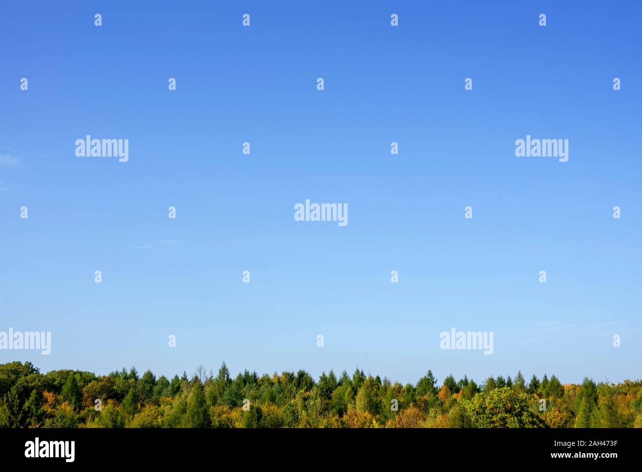 Germany, Bavaria, Ebrach, Clear blue sky over Steigerwald forest in autumn Stock Photo