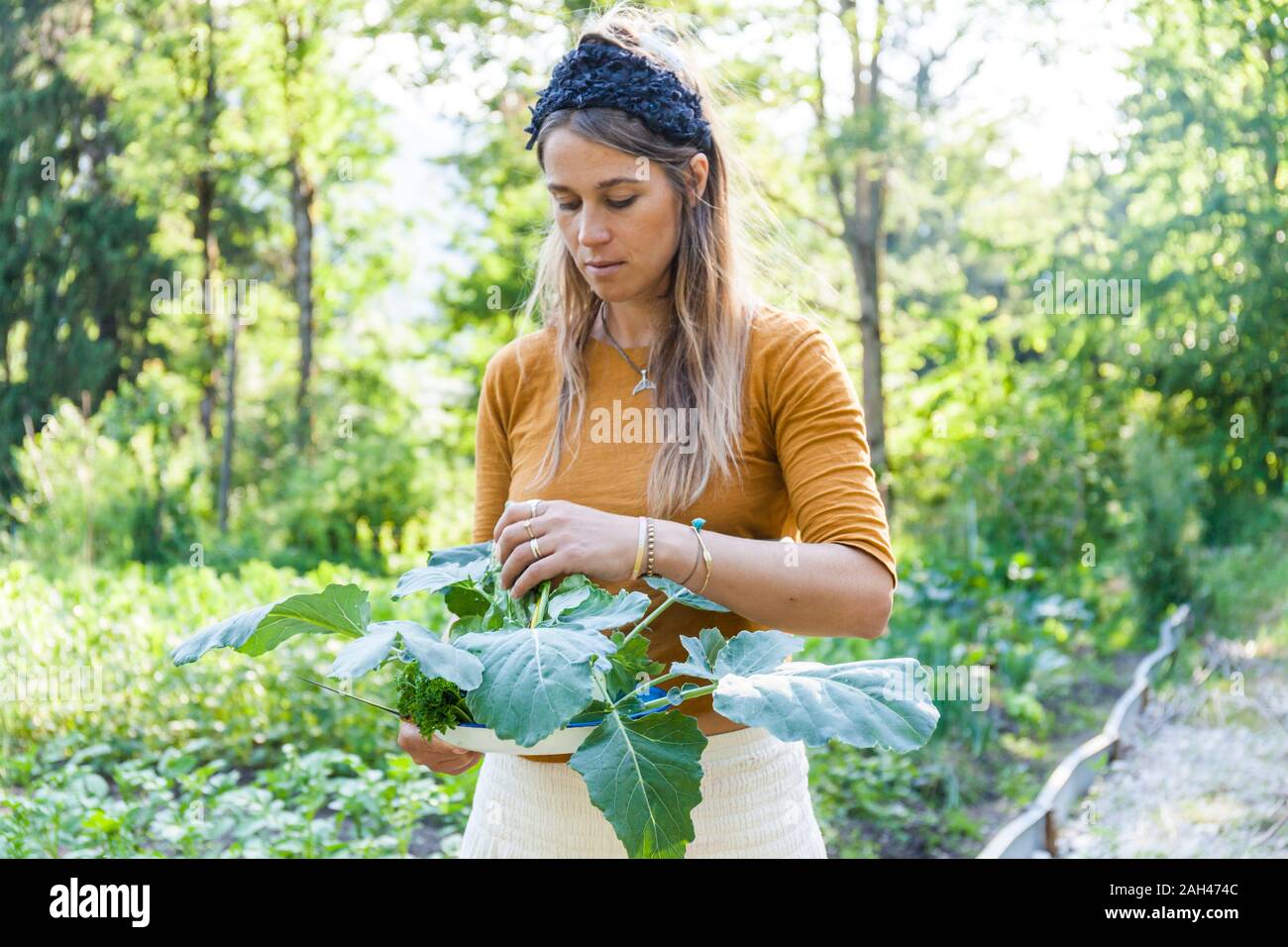 Woman harvesting, holding bowl Stock Photo