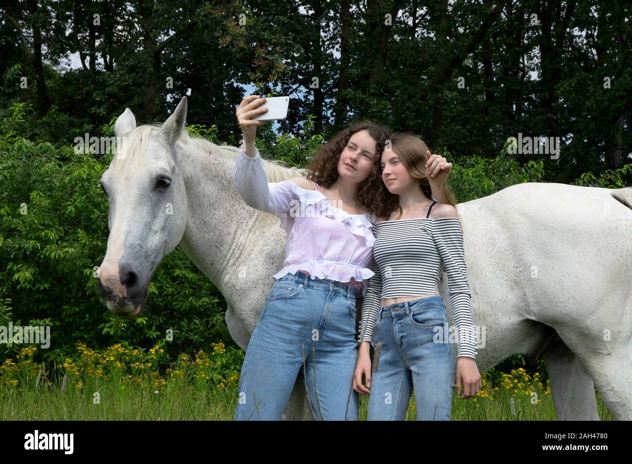 Two best friends standing in front of a horse taking selfie with