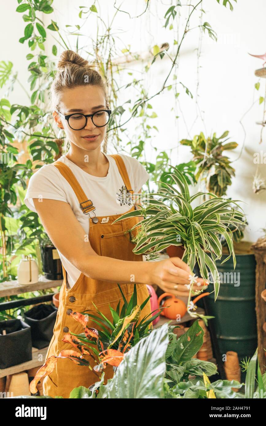 Young woman caring for plants in a small shop Stock Photo