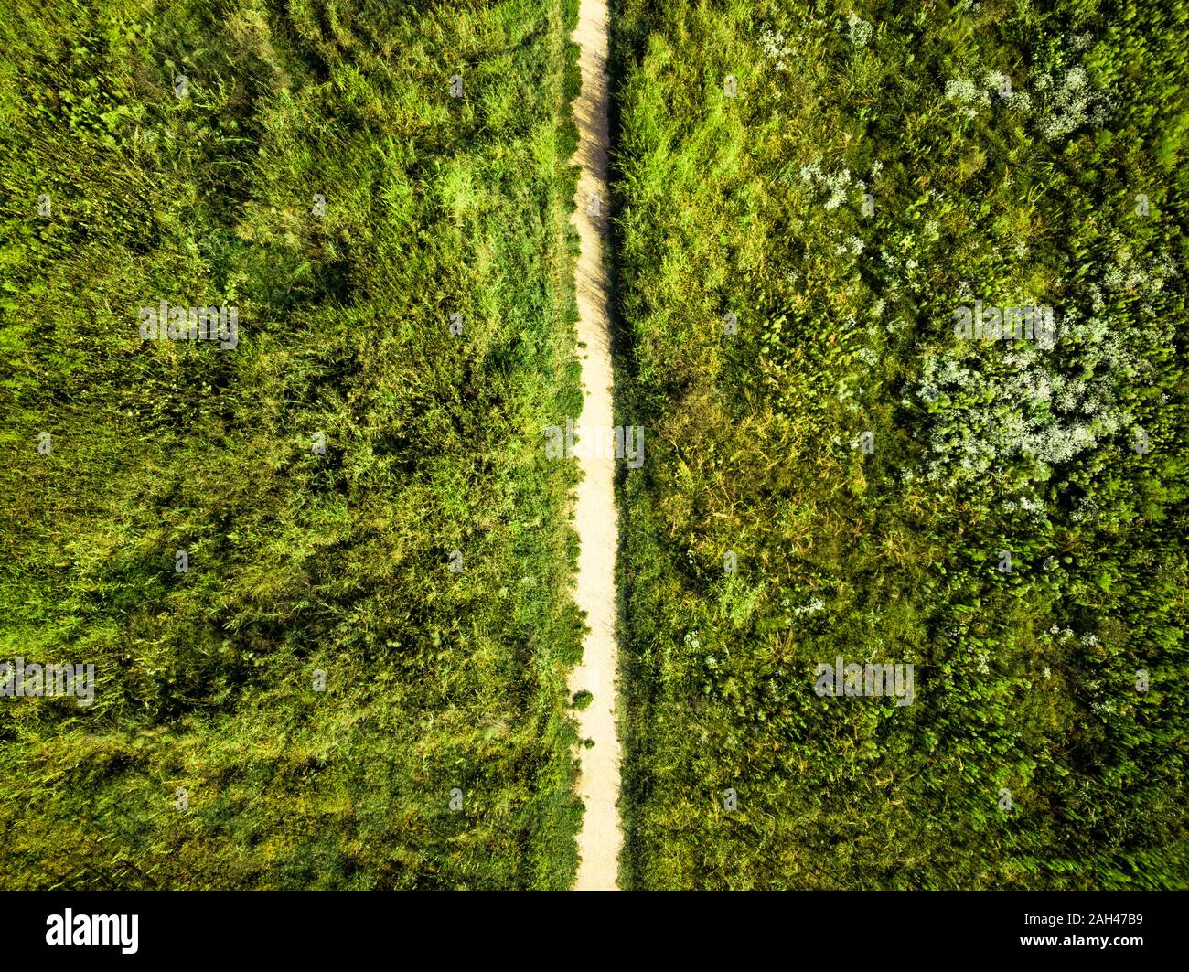 Germany, Berlin, Aerial view of empty dirt road in middle of green vegetation Stock Photo