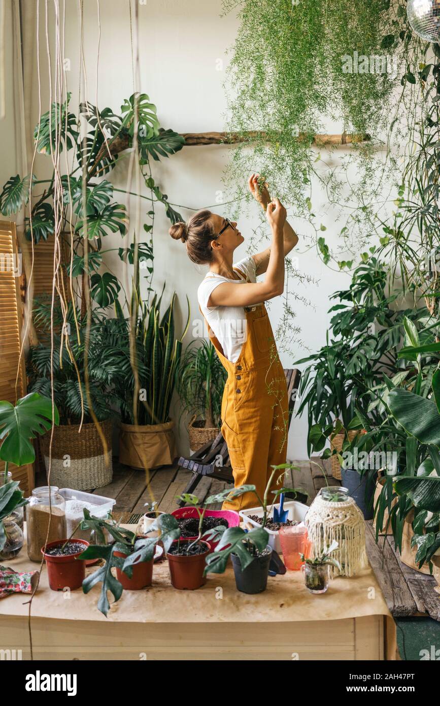 Young woman caring for plants in a small shop Stock Photo