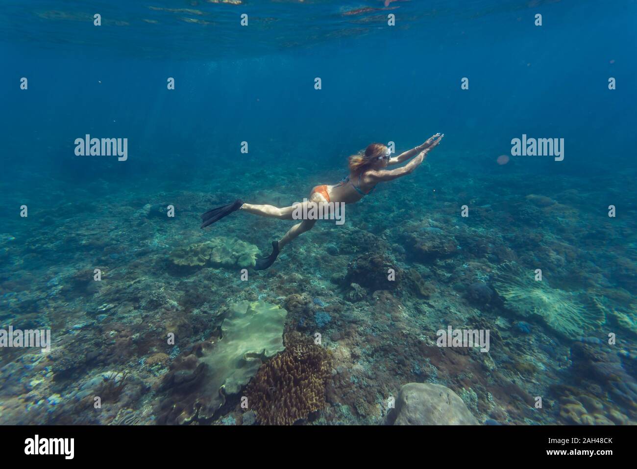 Young woman diving, Nusa Penida island, Bali, Indonesia Stock Photo