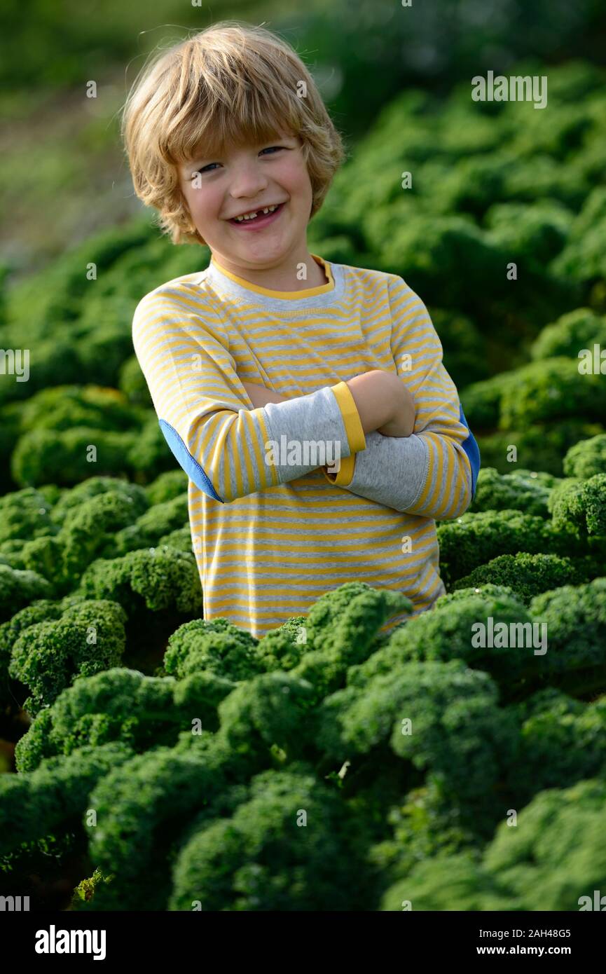 Boy in a kali field, with arms crossed Stock Photo