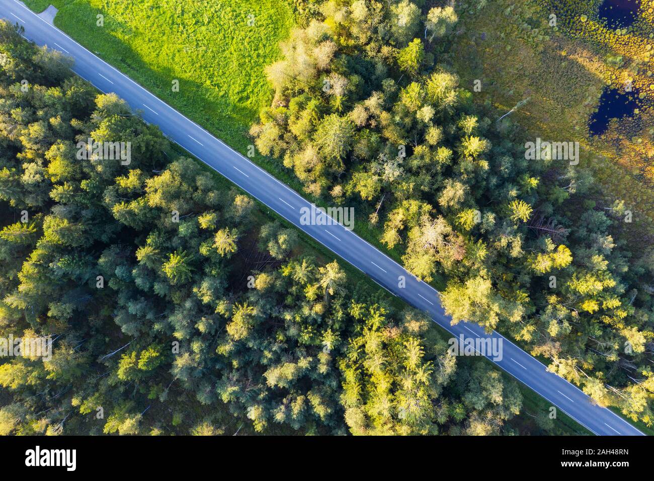 Germany, Bavaria, Konigsdorf, Aerial view of country road through Konigsdorfer Moor Stock Photo