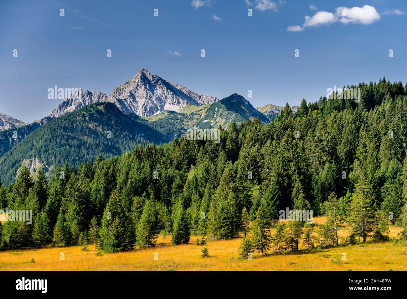 Austria, Tyrol, Scenic view of Tannheim Valley in Allgau Alps Stock Photo